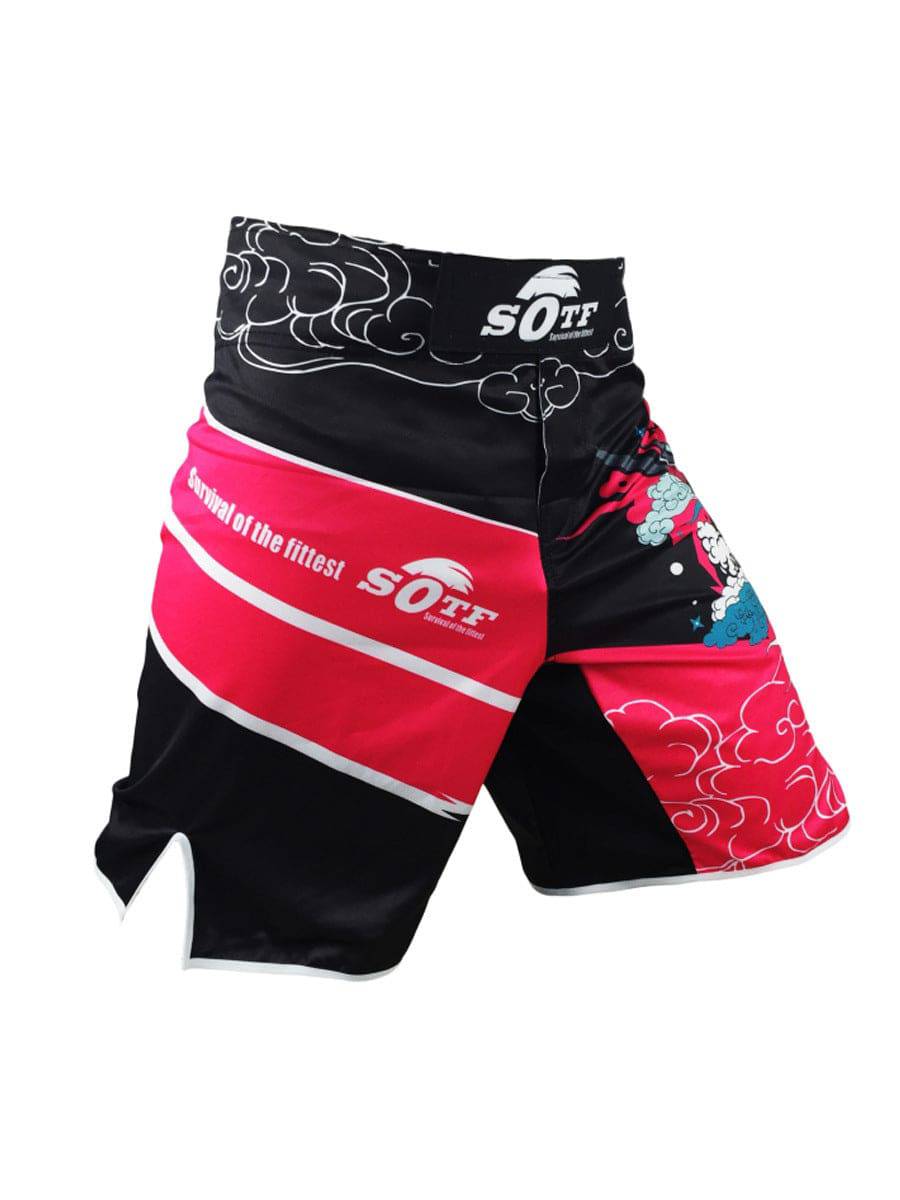 Fashion Gym Sports Shorts